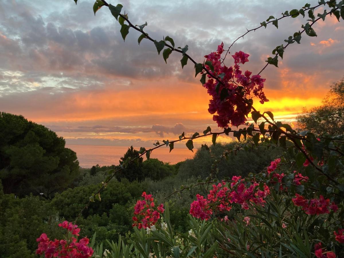 Chez Jean Claude La Villa Des Amis โอลเมโท ภายนอก รูปภาพ